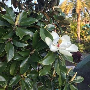 Meet your Posher, Marcela